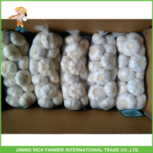 Top quality 5.0cm 450g bag snow white Chinese garlic